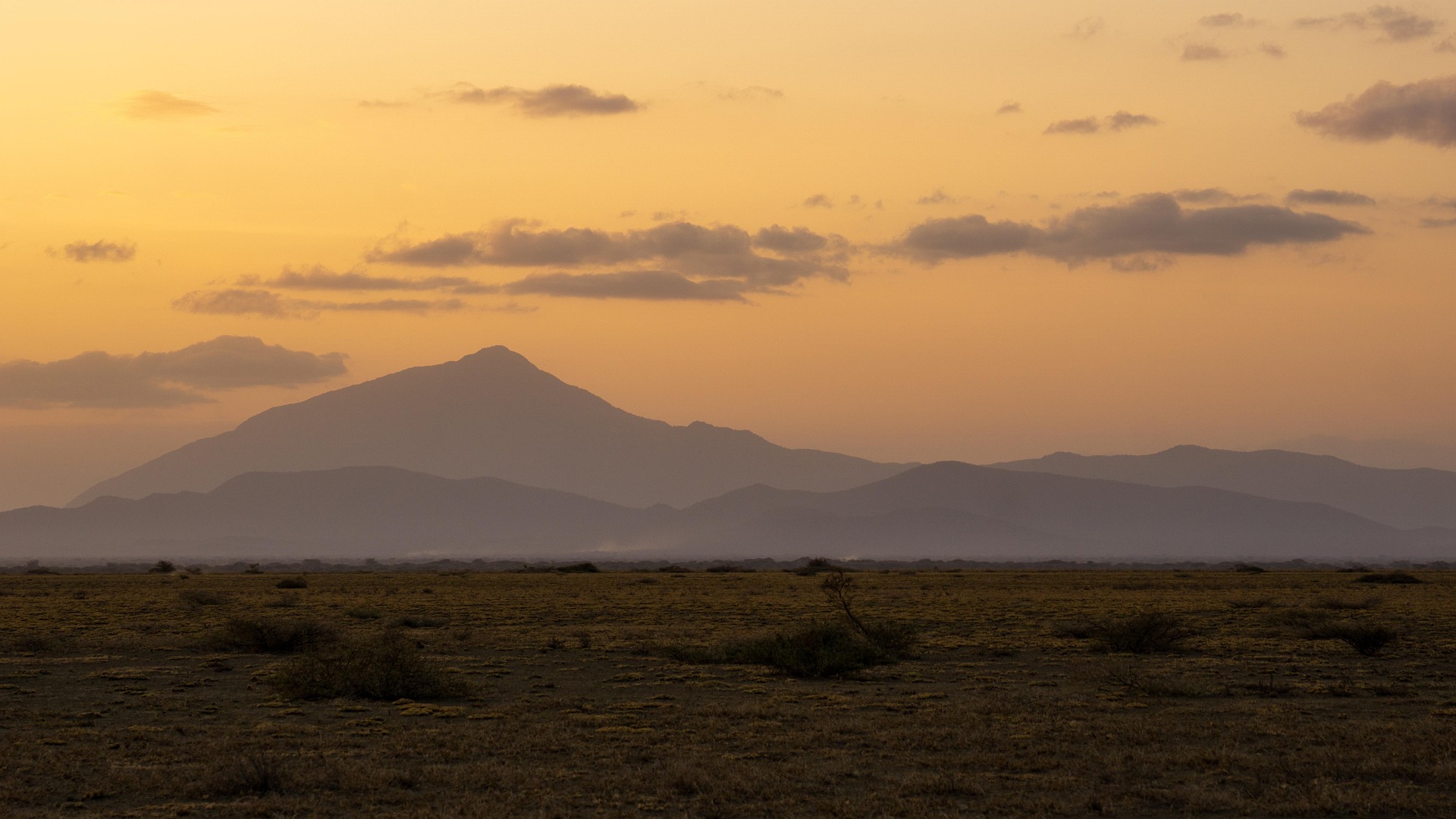A group of migrating wildebeests in Serengeti National Park