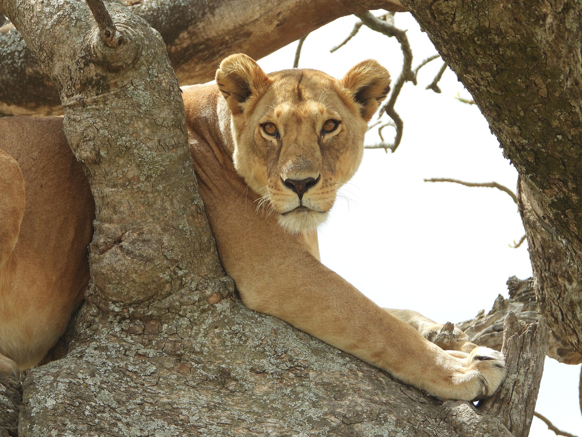 Lake Manyara National Park