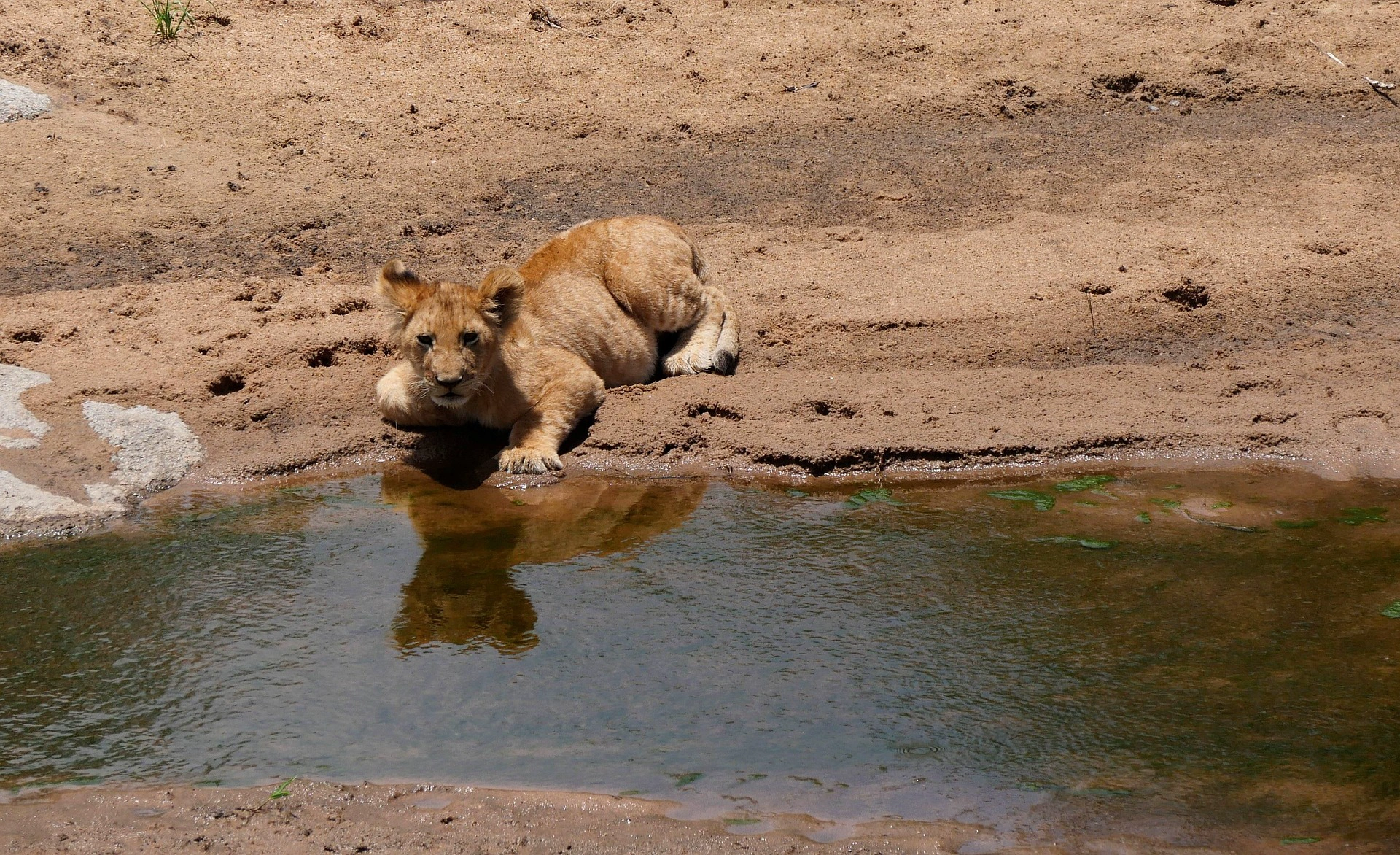 Lake Manyara