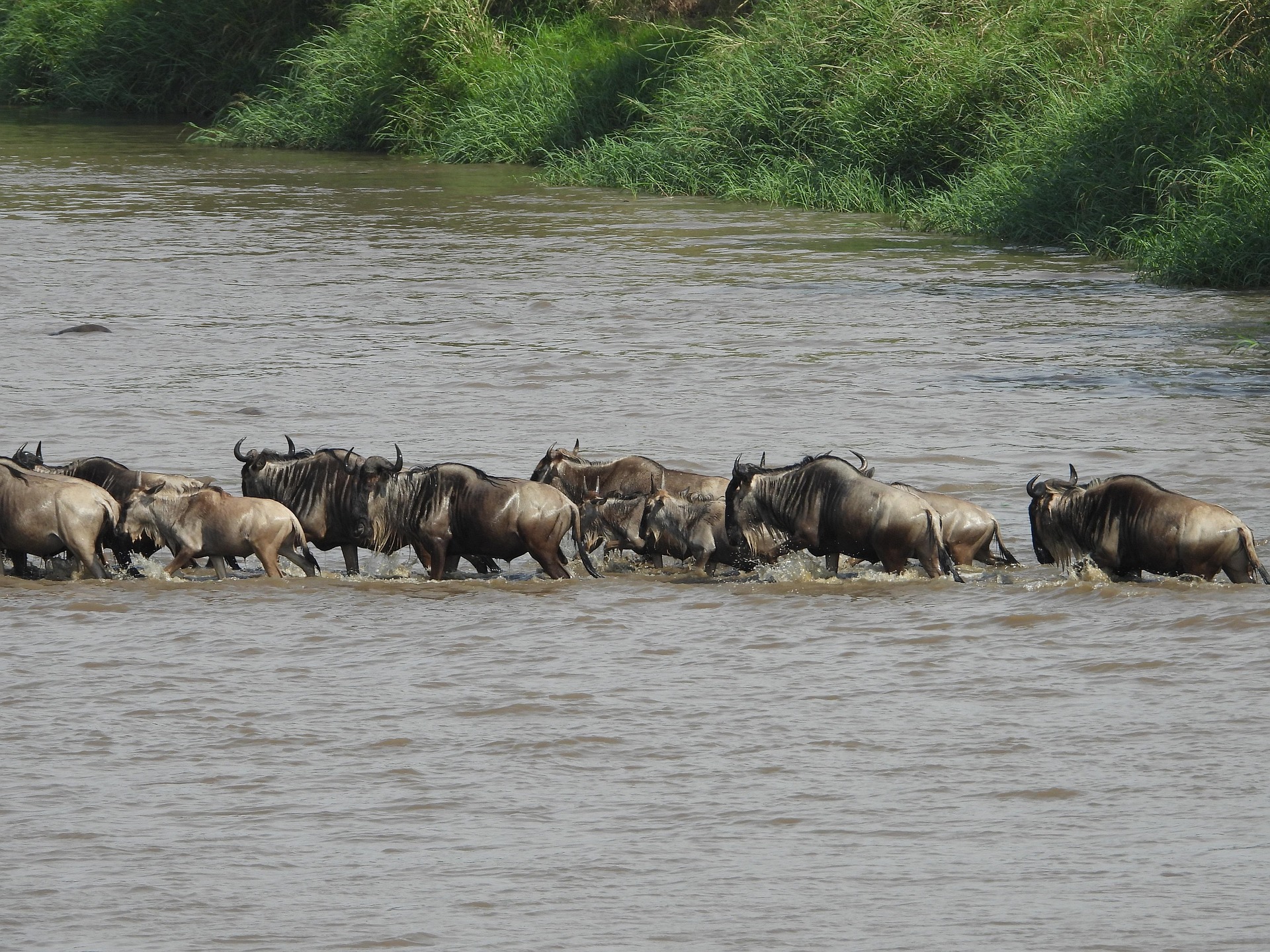 Serengeti National Park