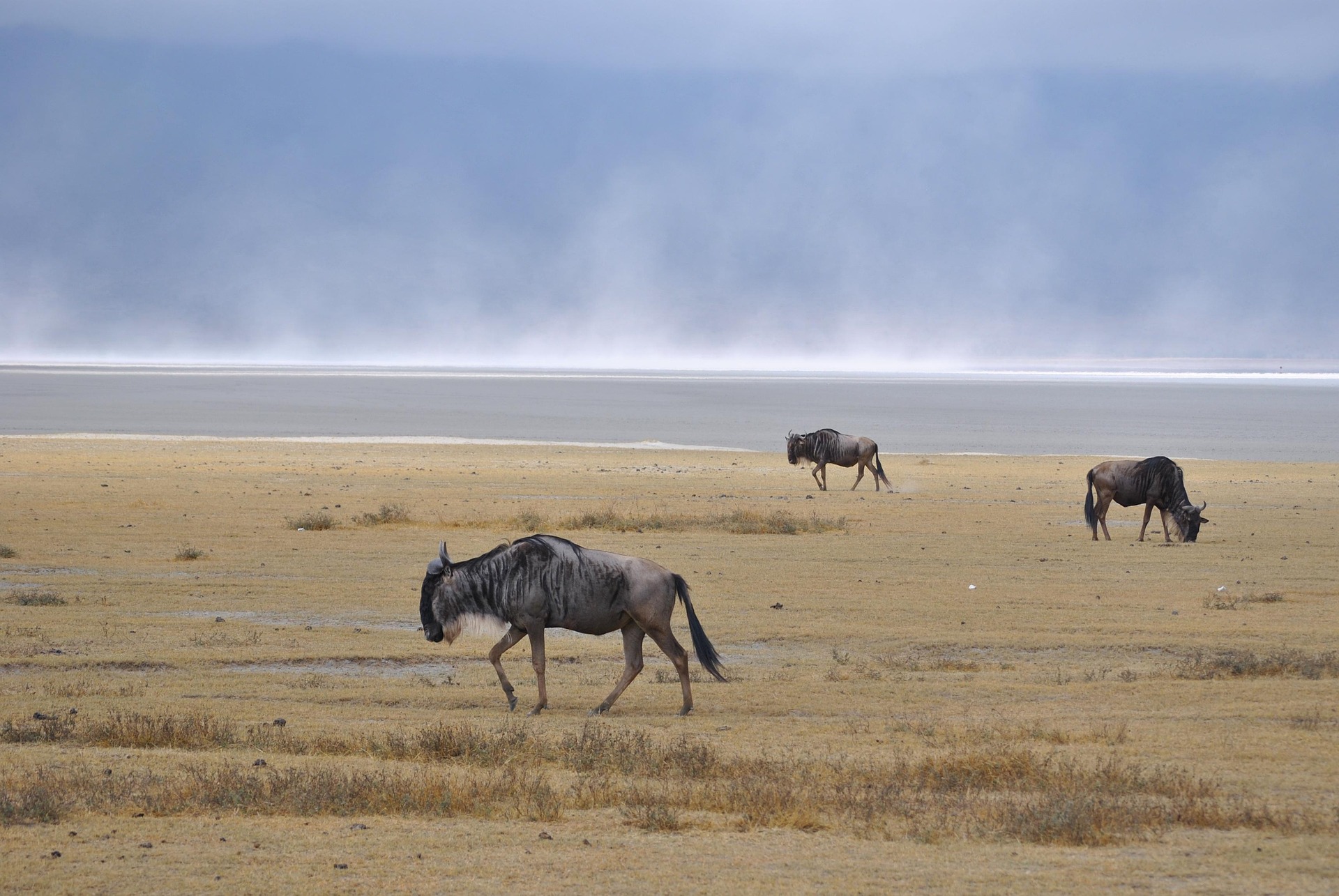 Ngorongoro Conservation Area