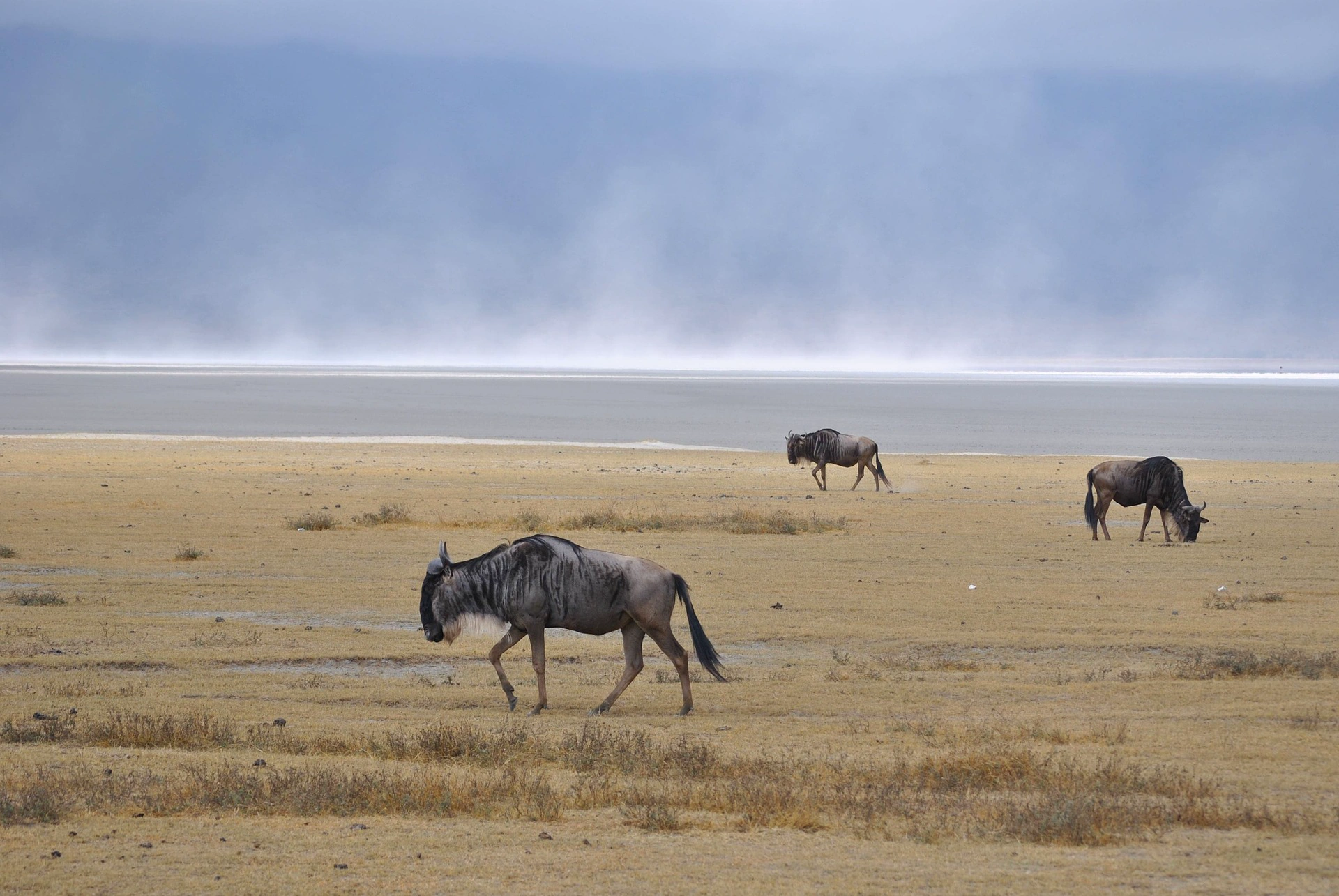 Ngorongoro Conservation Area